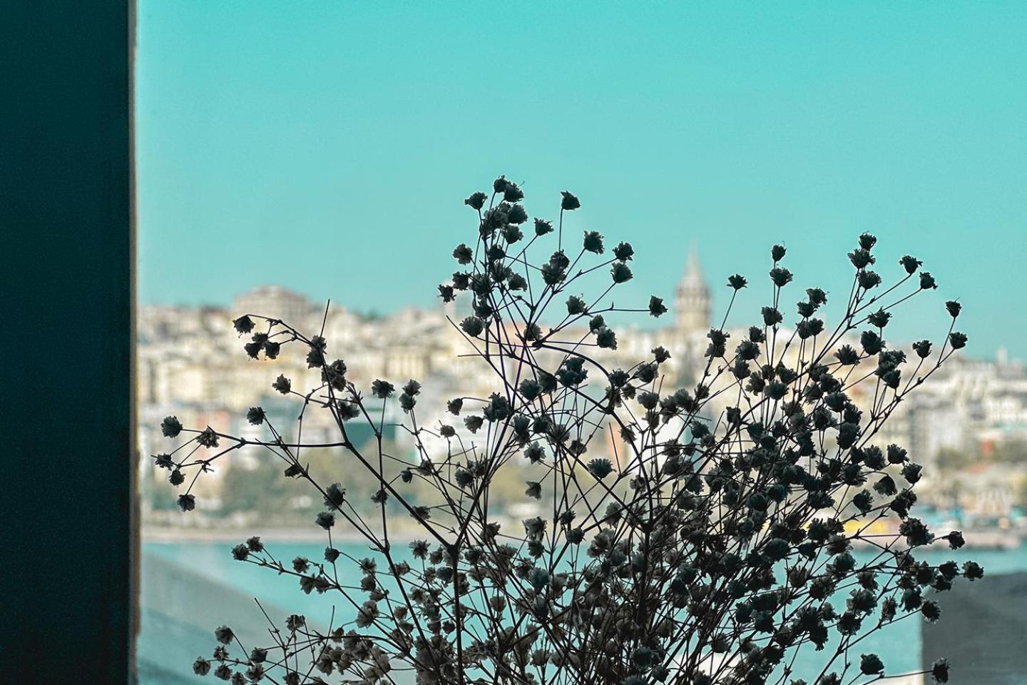 The Halic Bosphorus Hotel Istanbul Exteriör bild